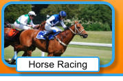 Horse Racing