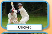 Cricket
