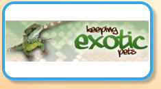 Keeping Exotic Pets - Pet Amphibians