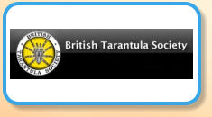 British Tarantula Society