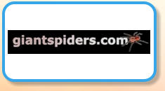 Giant Spiders