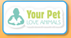 Your Pet Love Animals - Stick Insects
