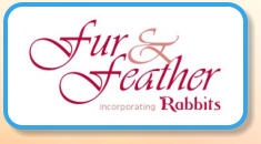 fur and feather - Rabbits