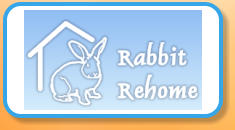 Rabbit Rehome